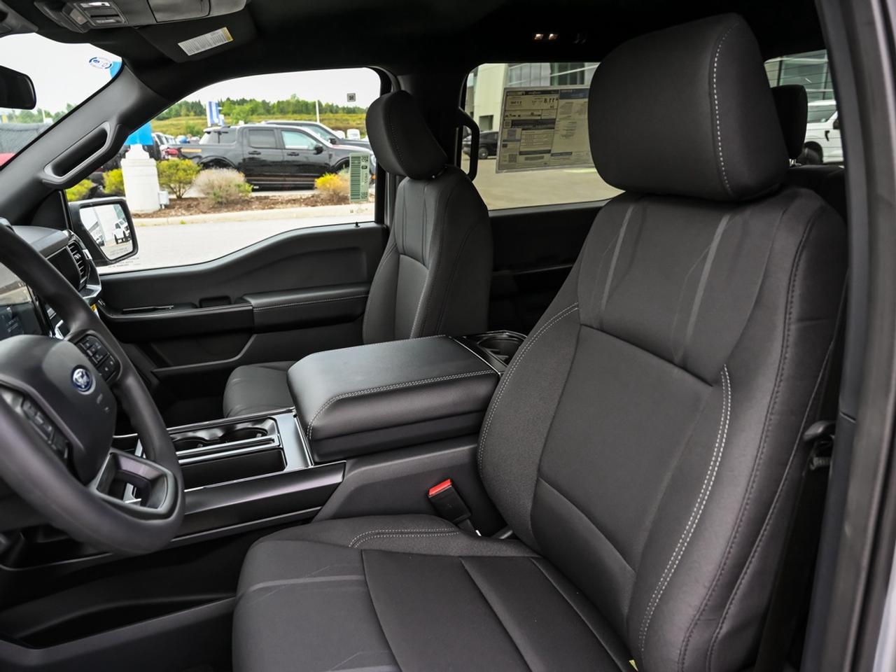 2026 Ford F-150 STX Photo