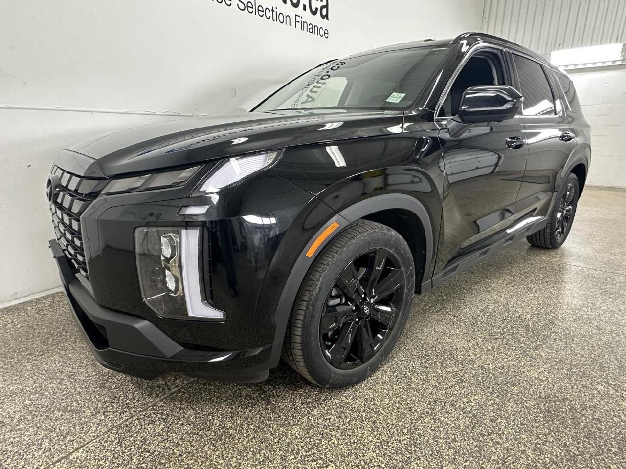 2025 Hyundai PALISADE Urban 8 Passenger URBAN/AWD/8 PASSENGER/LEATHER/ROOF/NAVI/21KM/1 OWNER! Photo