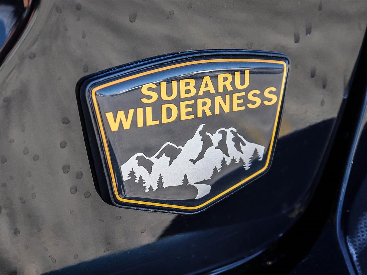 2024 Subaru XV Crosstrek Wilderness Photo