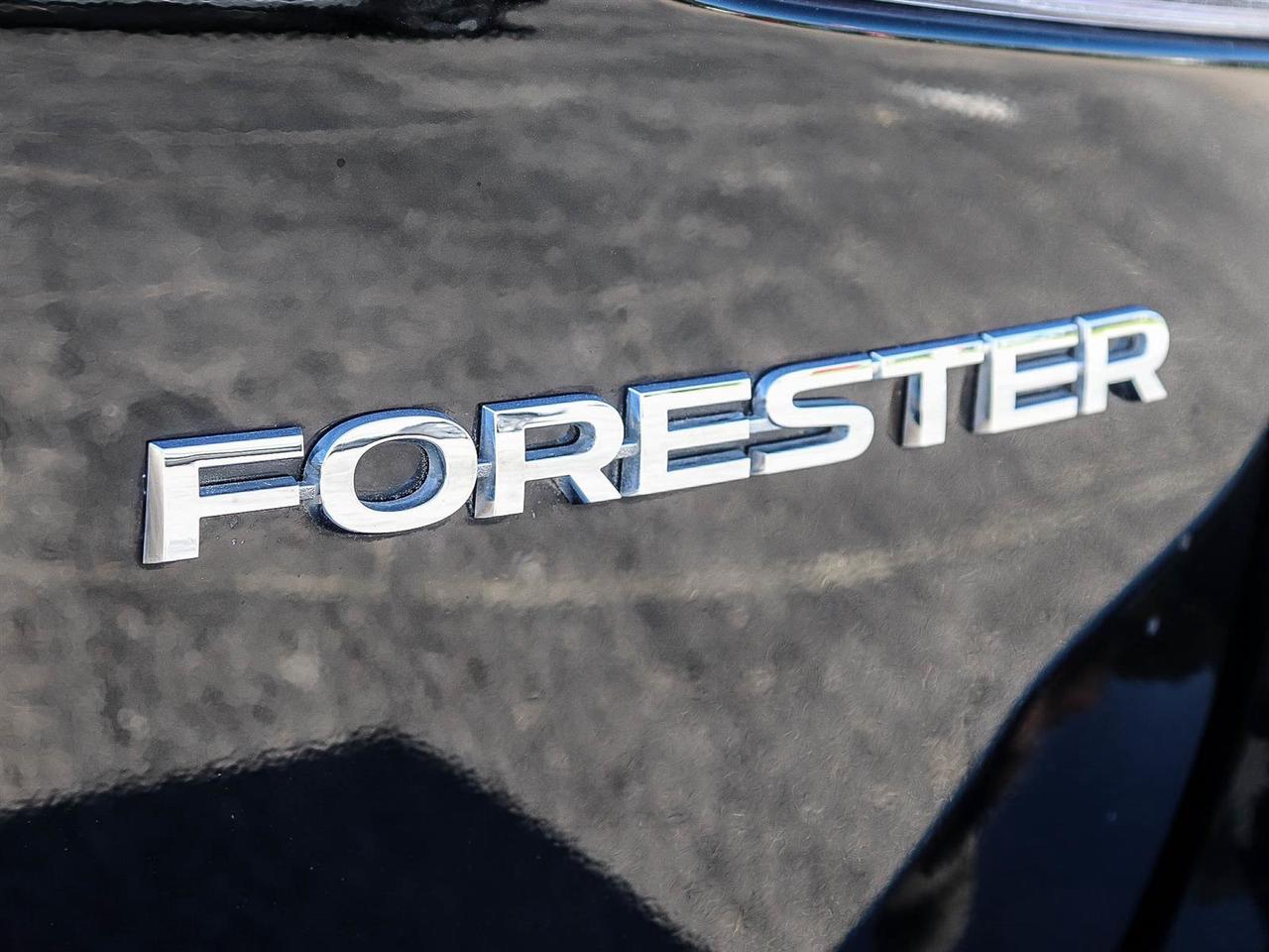 2024 Subaru Forester Premier Photo