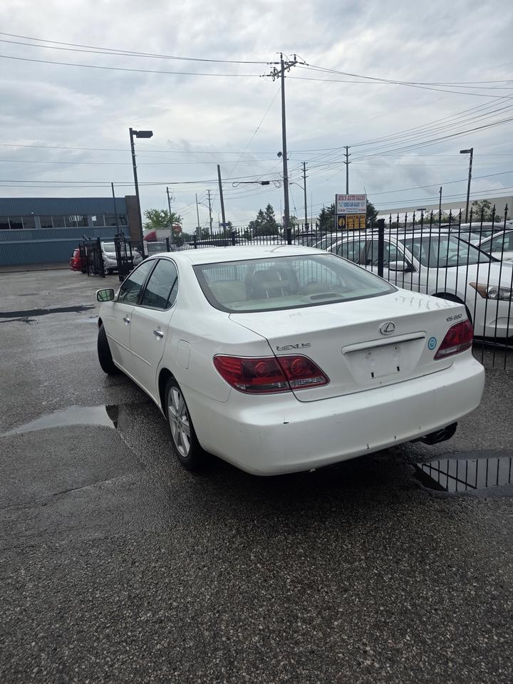 2005 Lexus ES 330 Photo