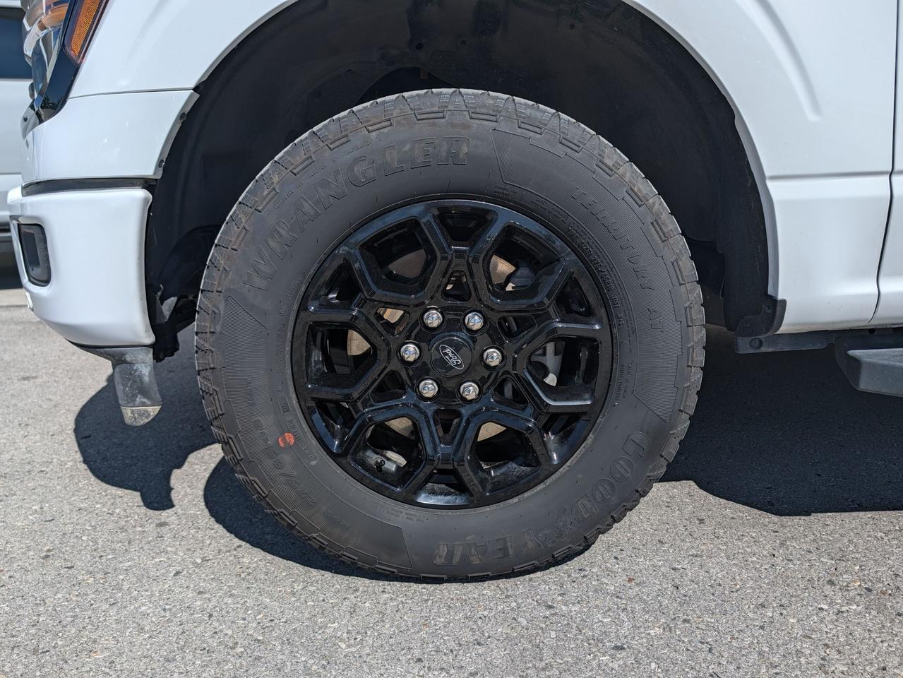 2025 Ford F-150 4X4 SuperCrew XLT 4WD SuperCrew 5.5' Box Photo