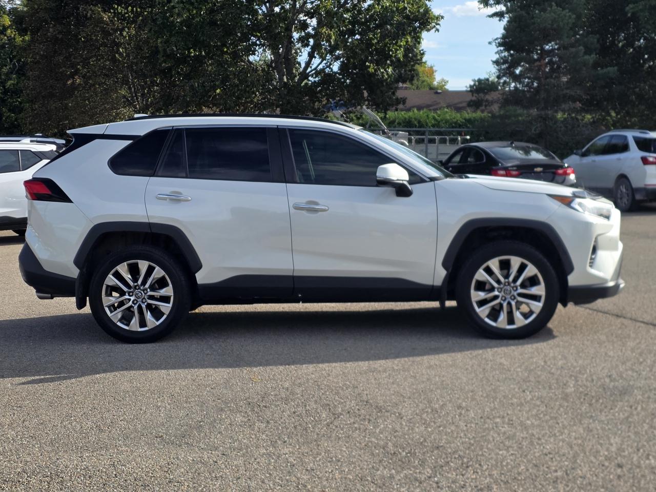 2019 Toyota RAV4 LIMITED AWD Photo
