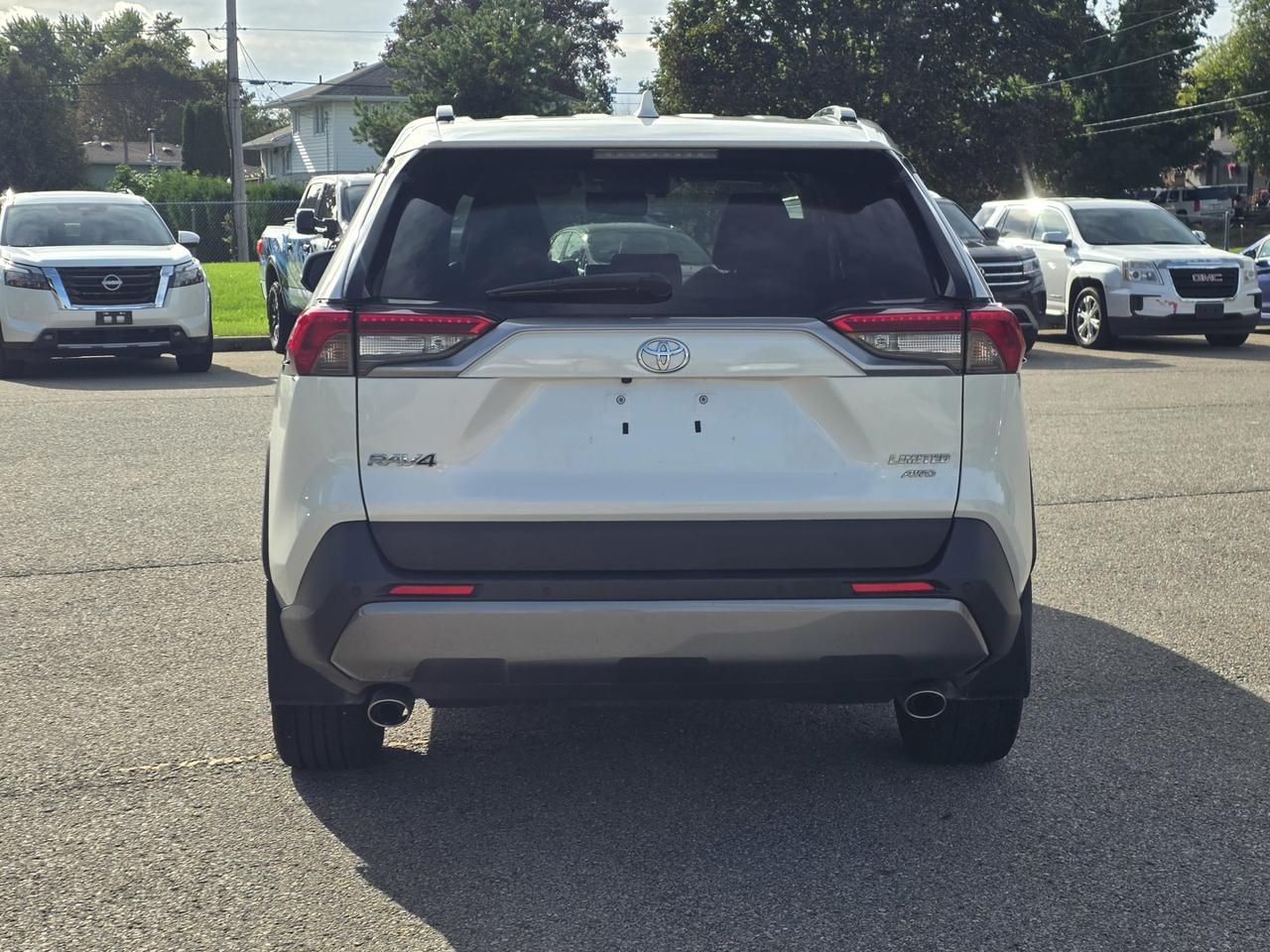 2019 Toyota RAV4 LIMITED AWD Photo