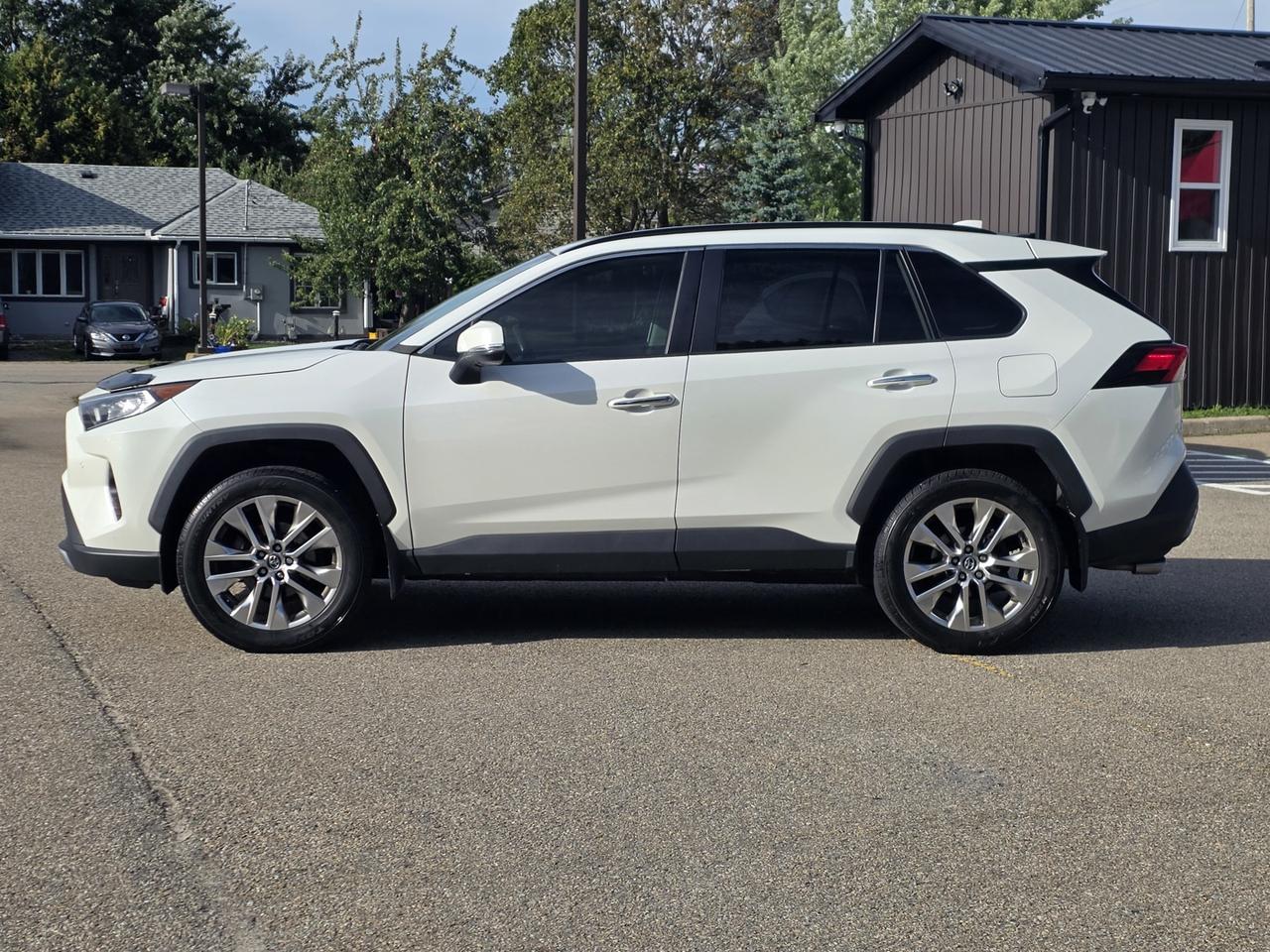2019 Toyota RAV4 LIMITED AWD Photo