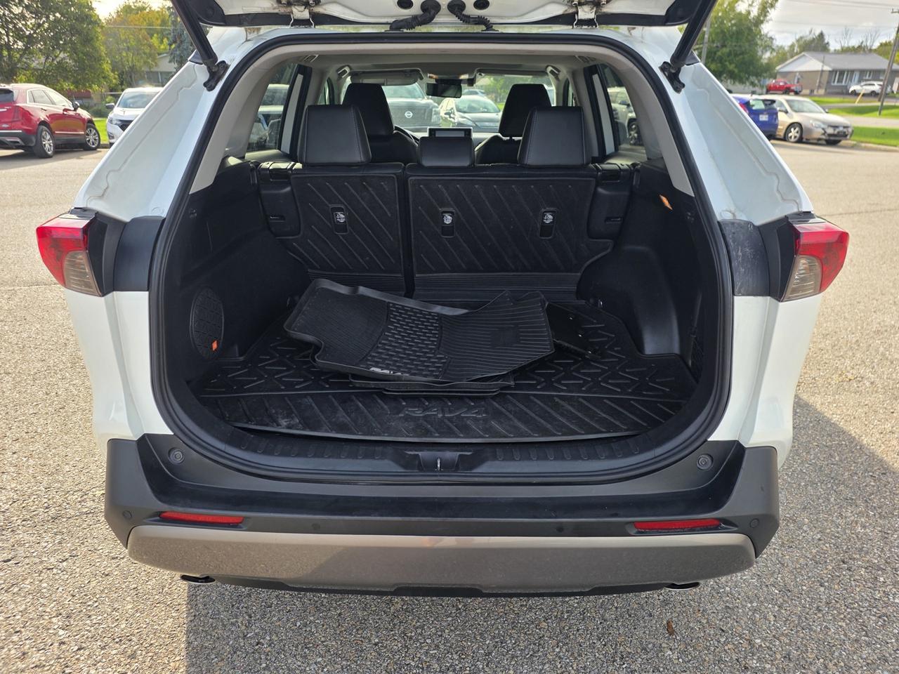 2019 Toyota RAV4 LIMITED AWD Photo