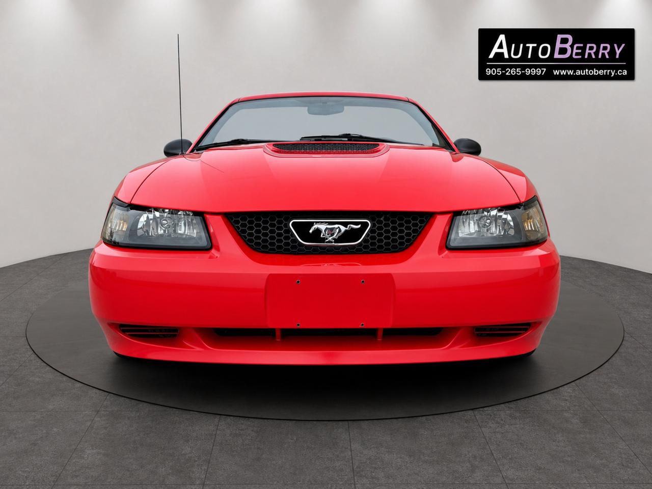 2000 Ford Mustang 2Dr Convertible Photo