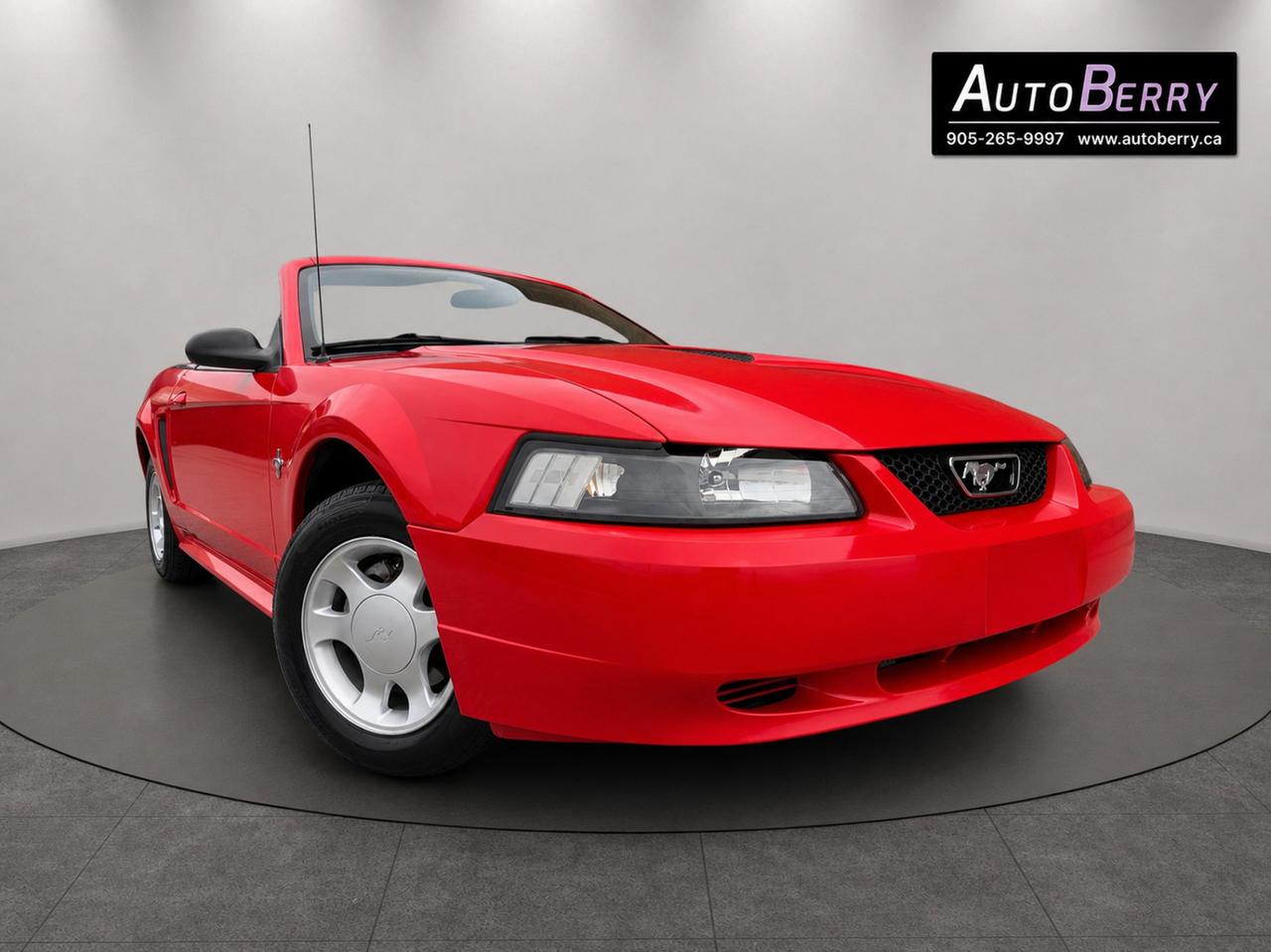 2000 Ford Mustang 2Dr Convertible Photo