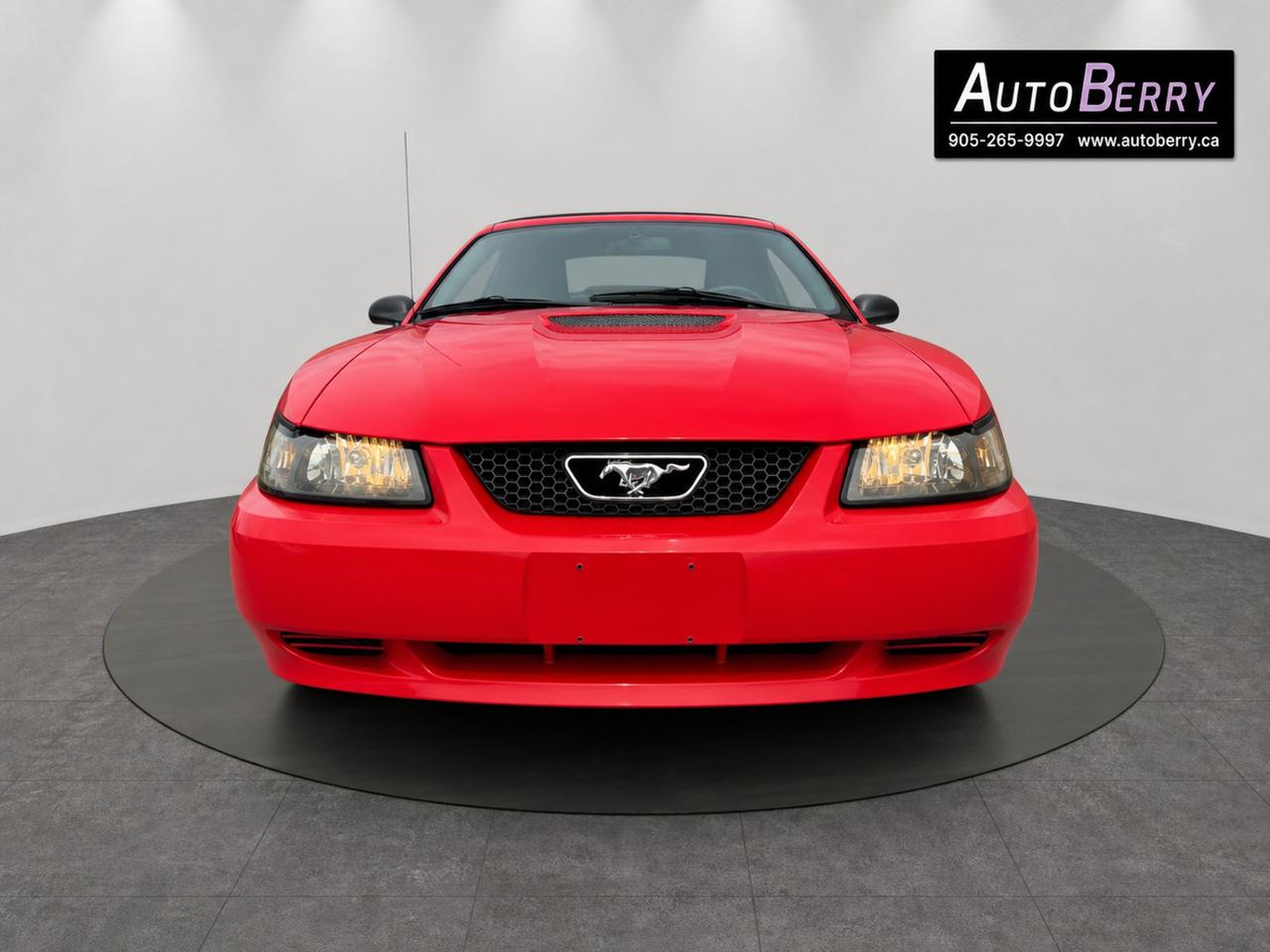 2000 Ford Mustang 2Dr Convertible Photo
