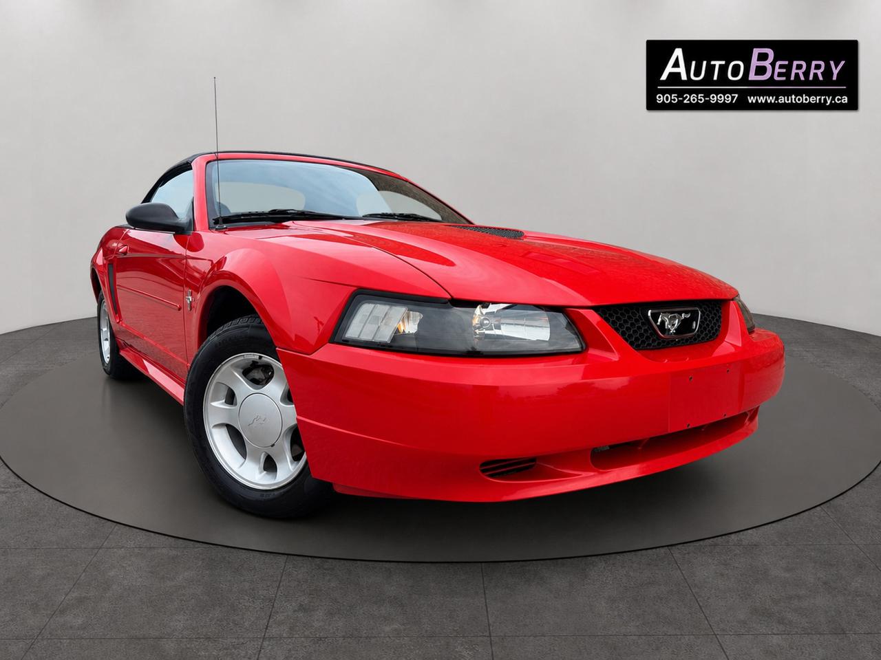2000 Ford Mustang 2Dr Convertible Photo