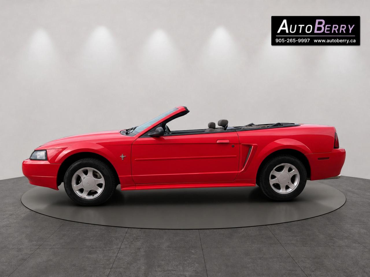 2000 Ford Mustang 2Dr Convertible Photo