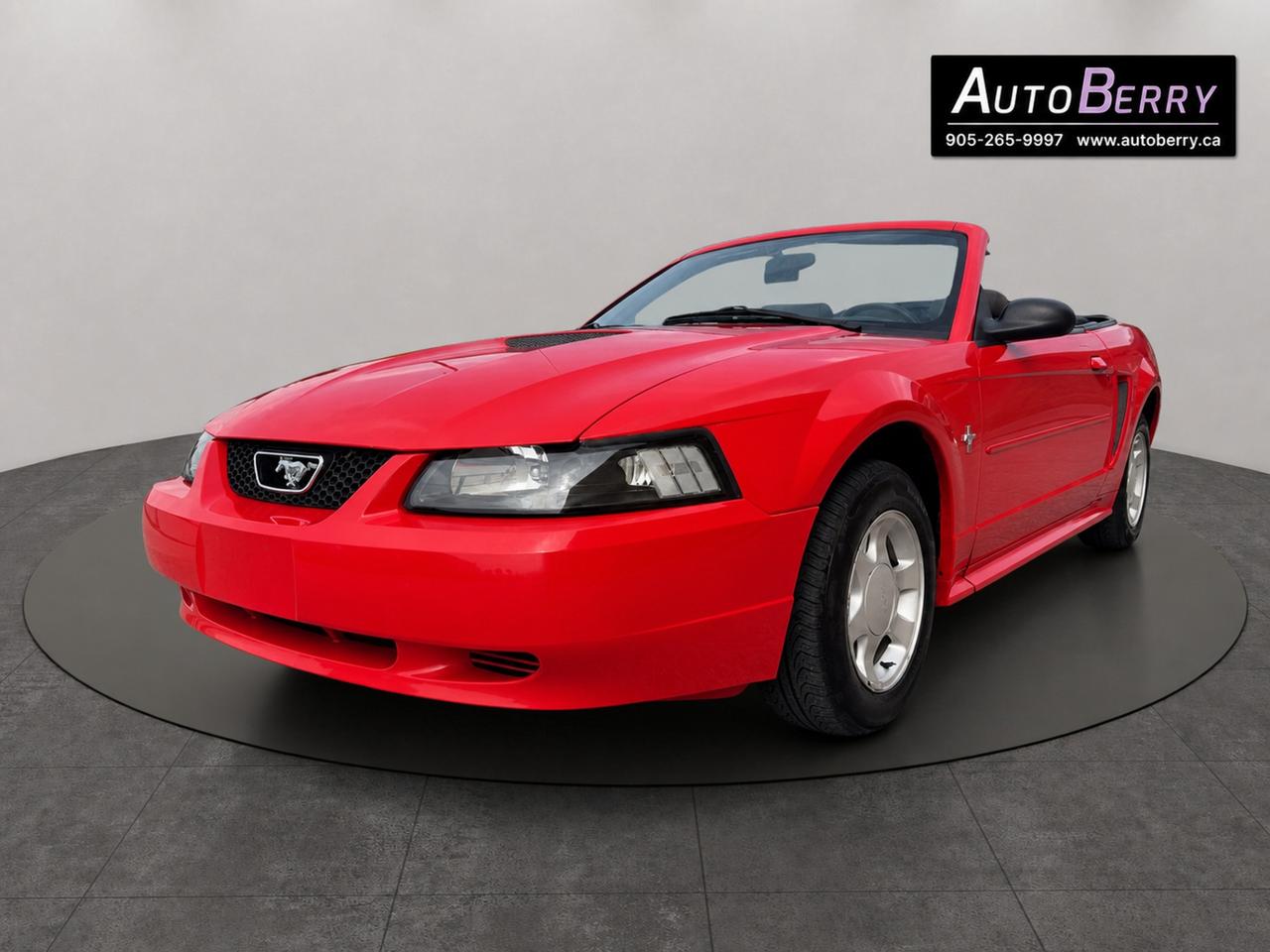 2000 Ford Mustang 2Dr Convertible Photo