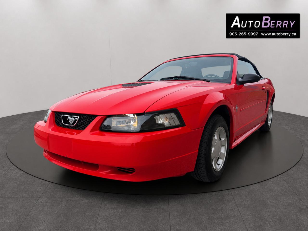 2000 Ford Mustang 2Dr Convertible Photo