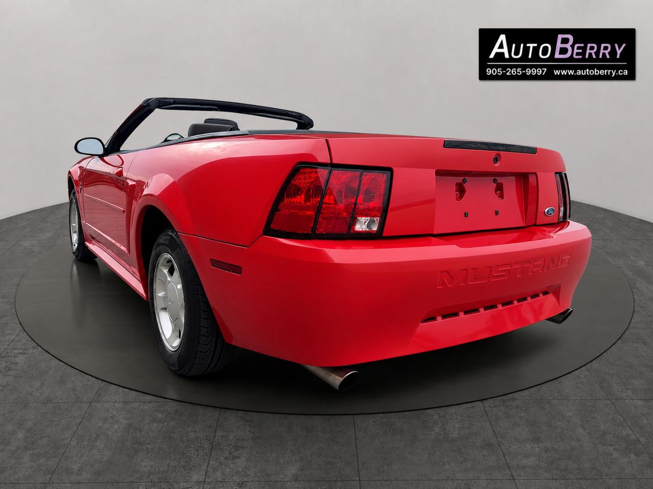 2000 Ford Mustang 2Dr Convertible Photo