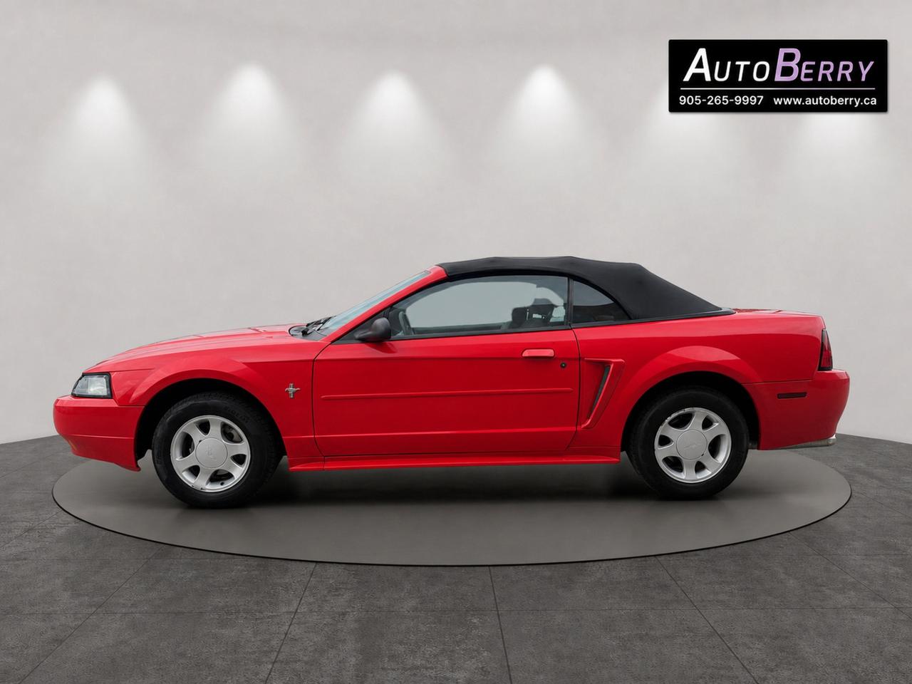 2000 Ford Mustang 2Dr Convertible Photo