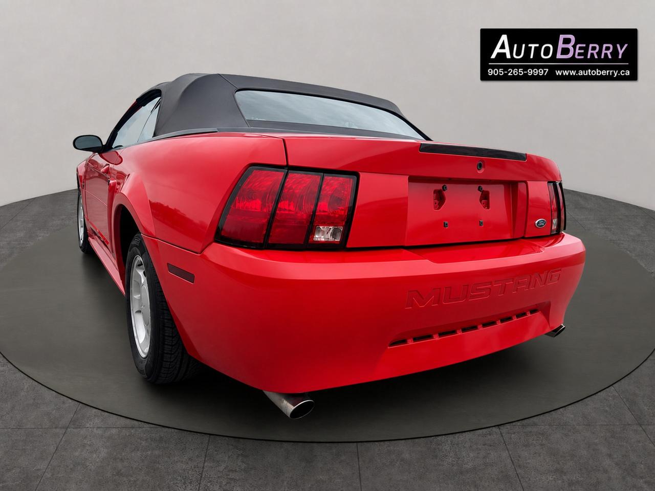 2000 Ford Mustang 2Dr Convertible Photo