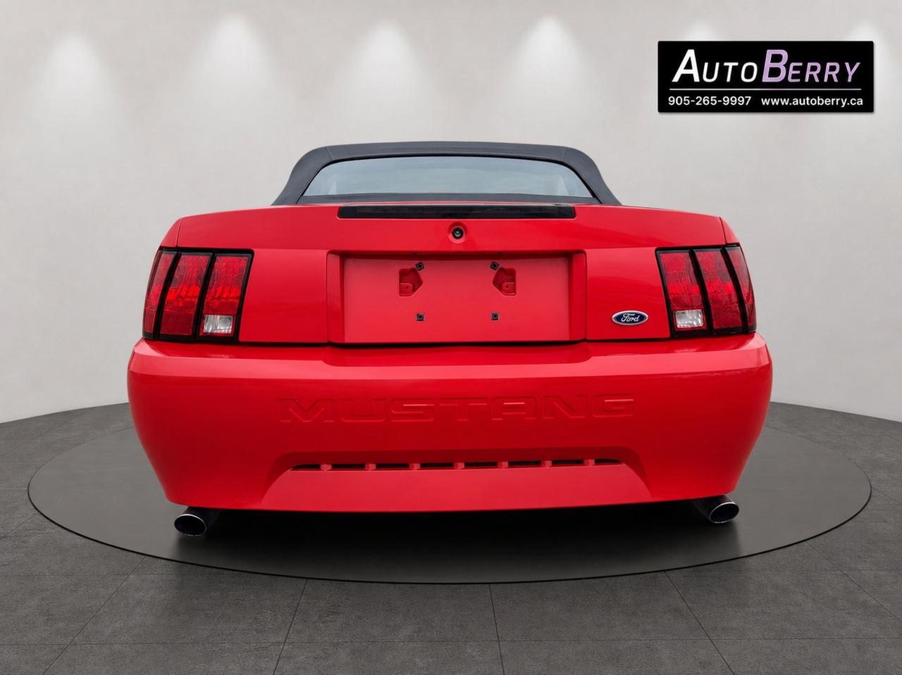 2000 Ford Mustang 2Dr Convertible Photo