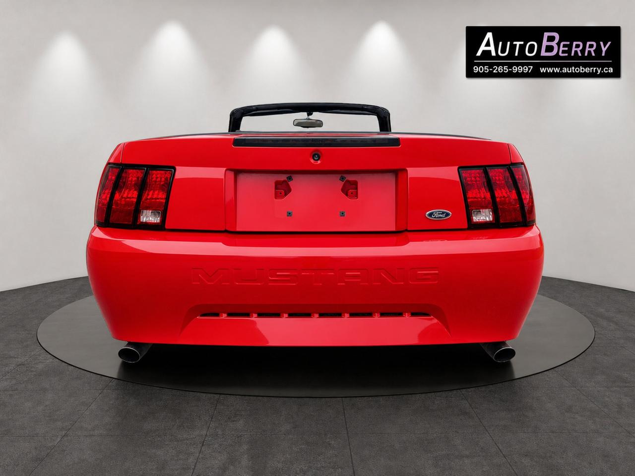2000 Ford Mustang 2Dr Convertible Photo