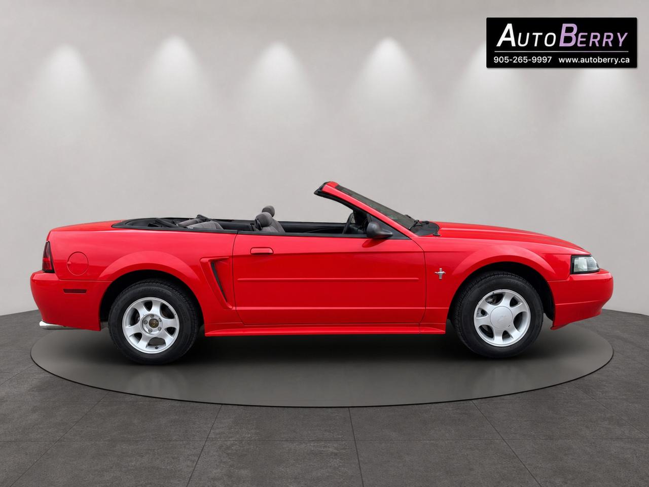 2000 Ford Mustang 2Dr Convertible Photo