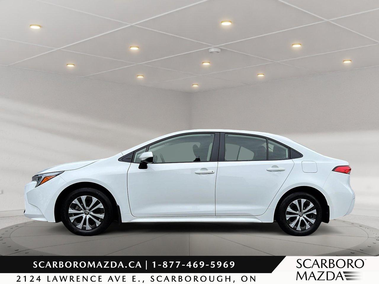 2025 Toyota Corolla Hybrid LE Photo3