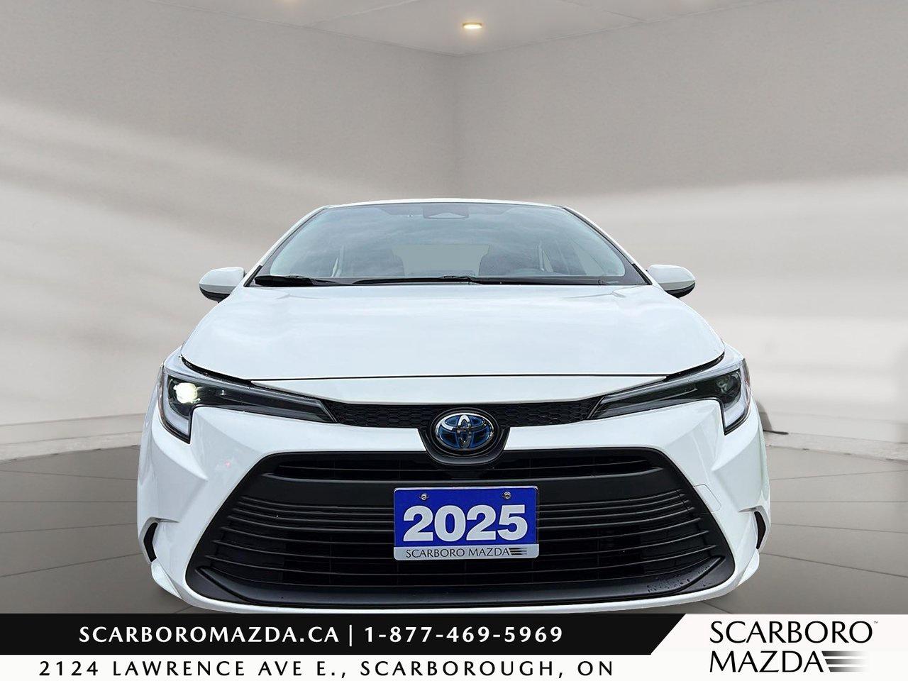 2025 Toyota Corolla Hybrid LE Photo5
