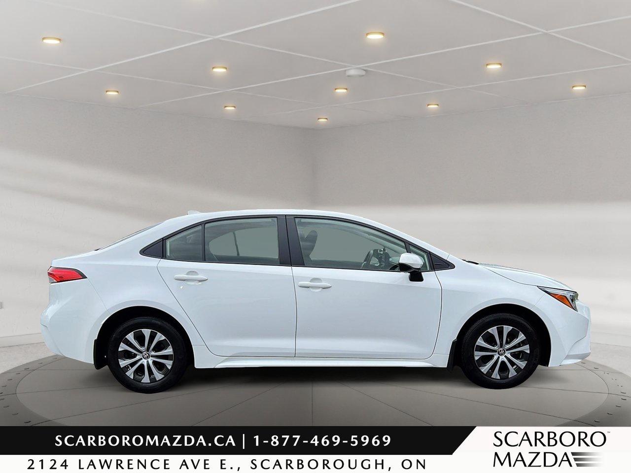 2025 Toyota Corolla Hybrid LE Photo