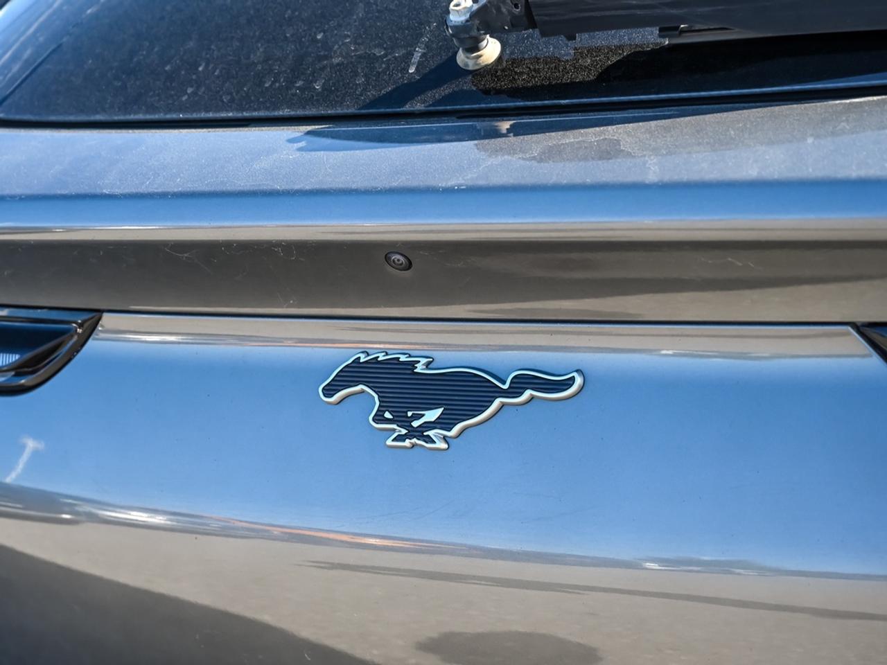 2023 Ford Mustang Mach-E California Route 1 Photo