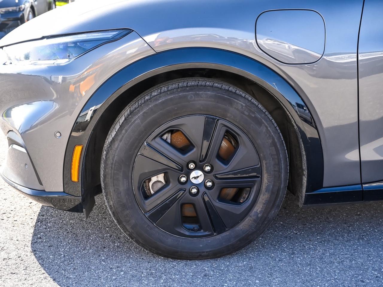 2023 Ford Mustang Mach-E California Route 1 Photo