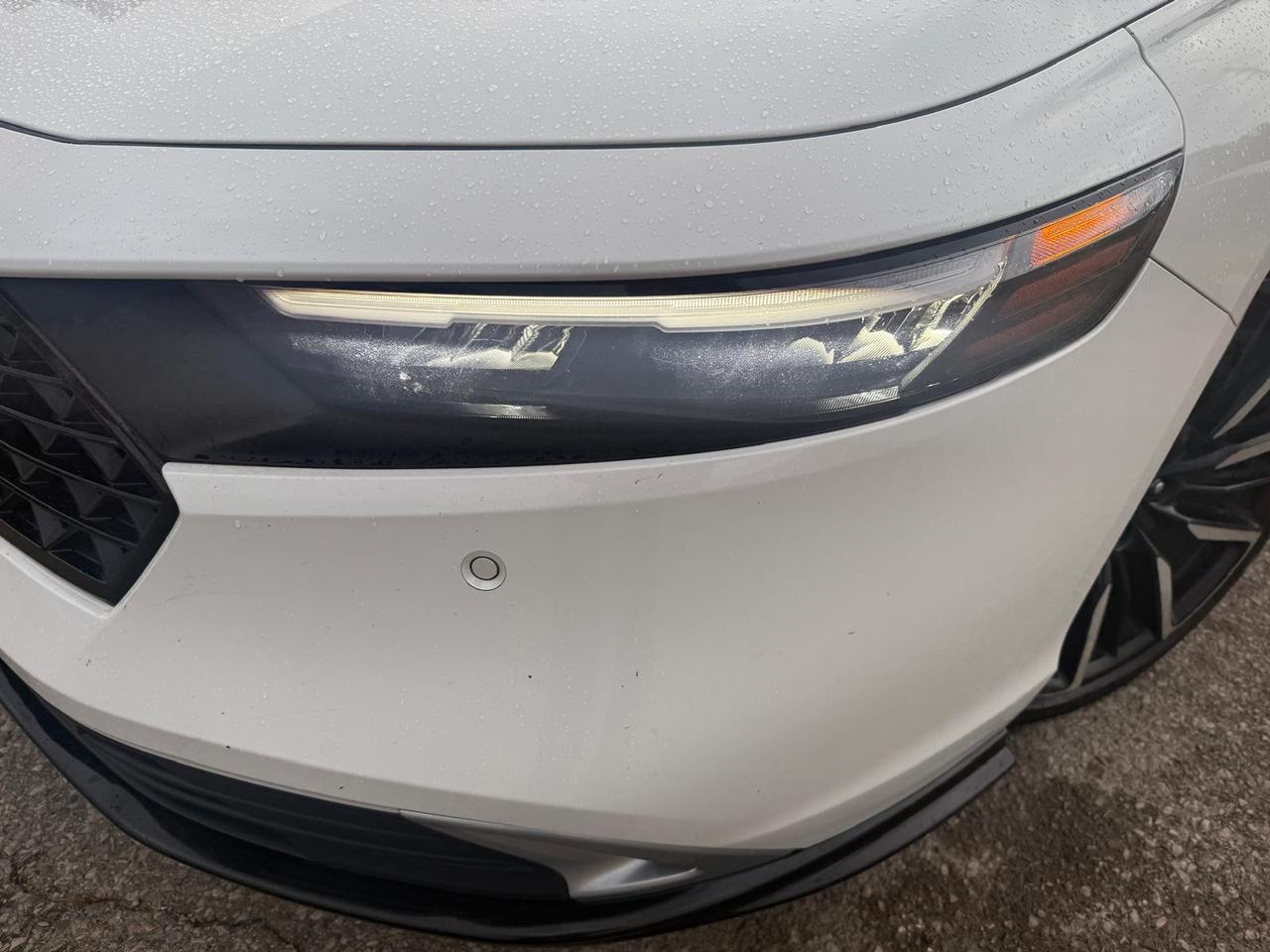 2025 Honda Accord Hybrid TOURING / ONE OWNER / HYBRID / LEATHER / ROOF Photo
