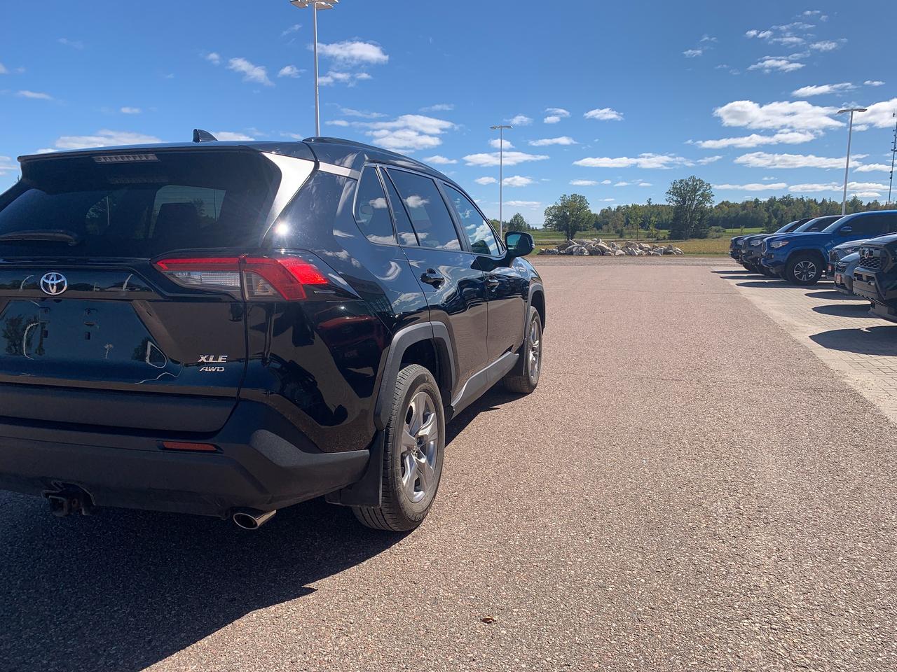 2024 Toyota RAV4 XLE Photo