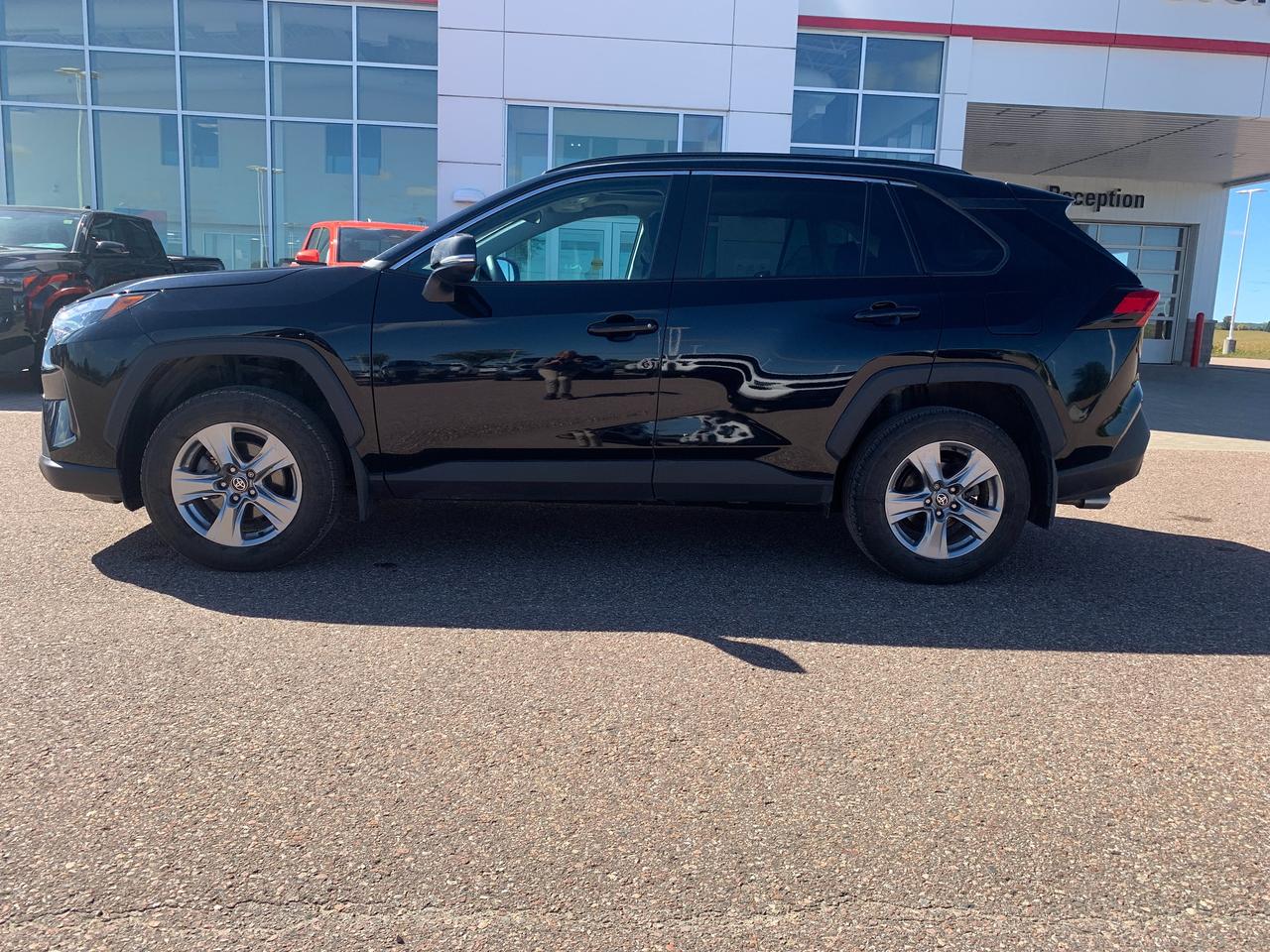 2024 Toyota RAV4 XLE Photo
