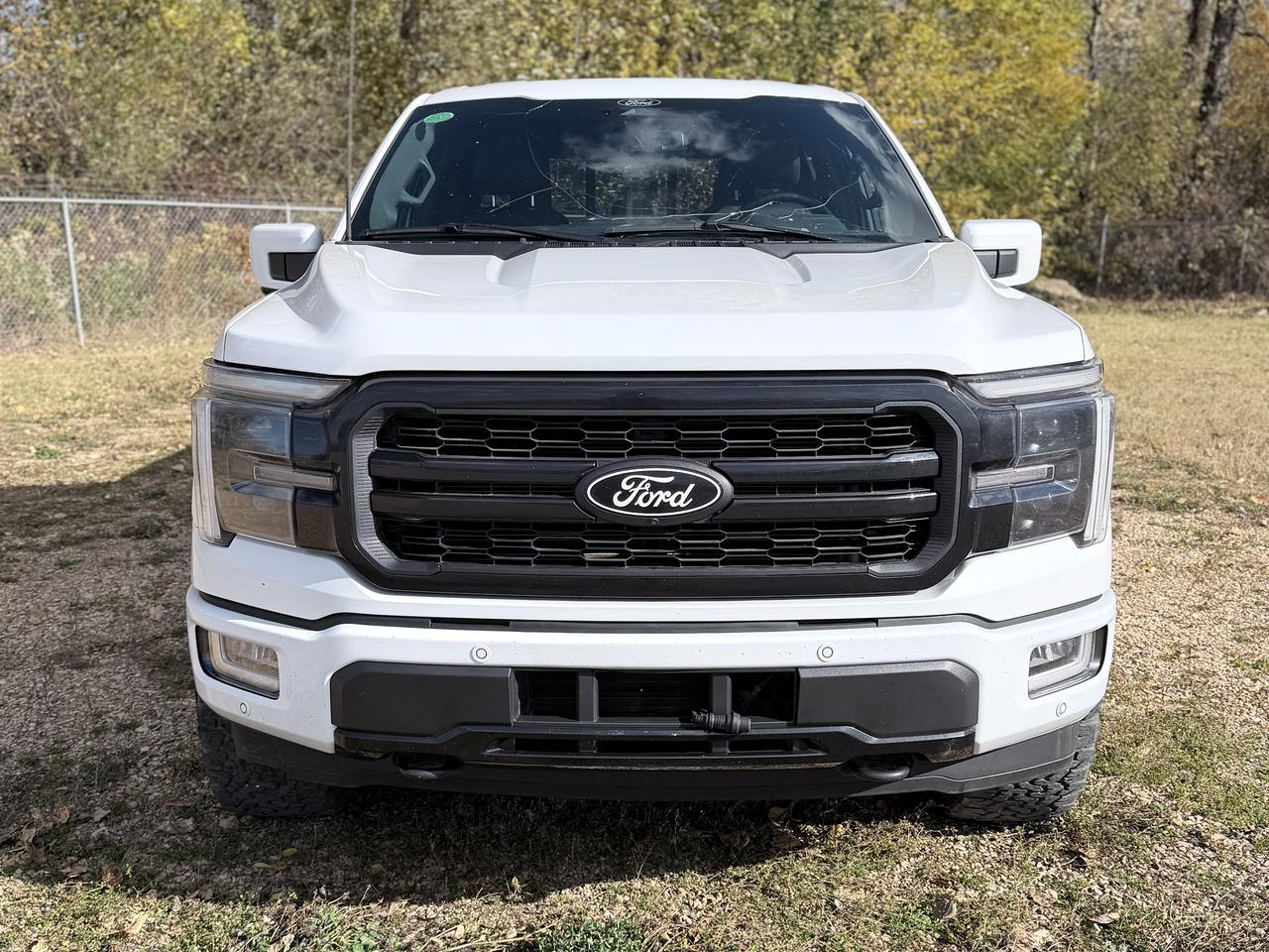 2024 Ford F-150 Lariat Photo2