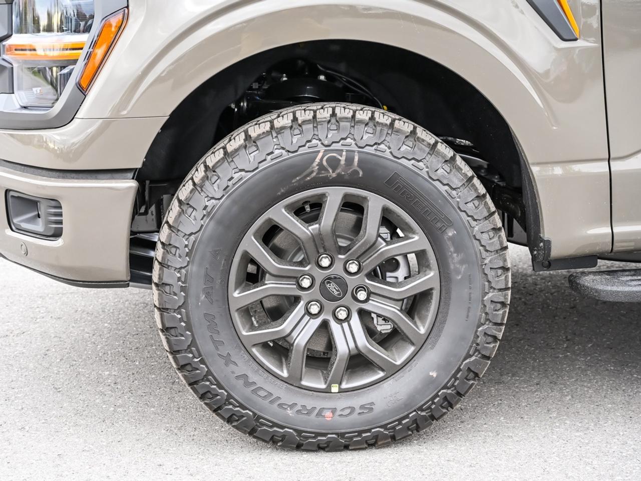 2026 Ford F-150 Tremor Photo