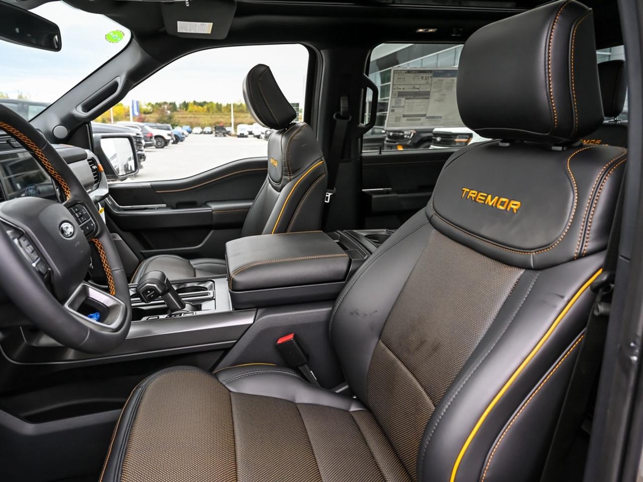 2026 Ford F-150 Tremor Photo