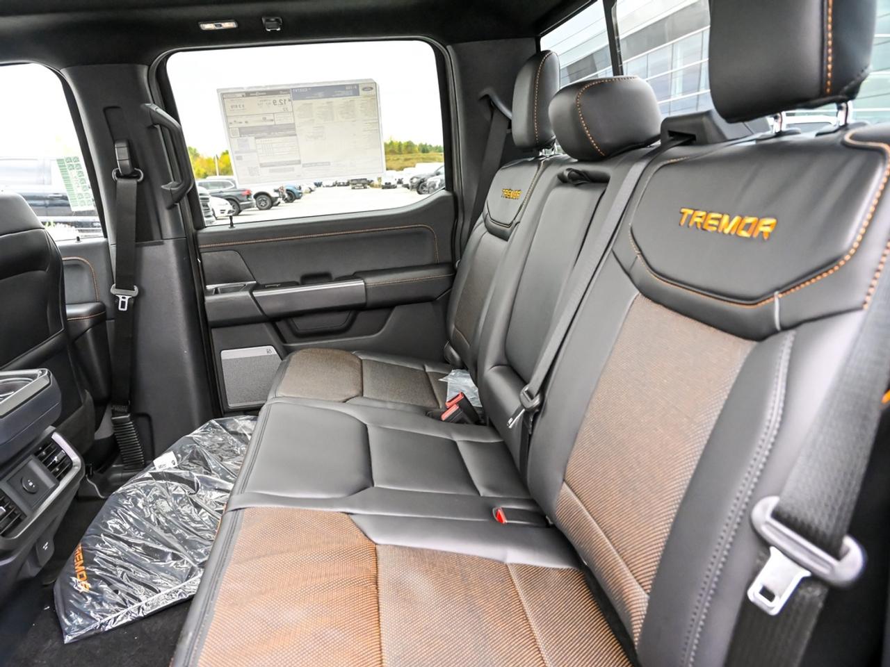 2026 Ford F-150 Tremor Photo