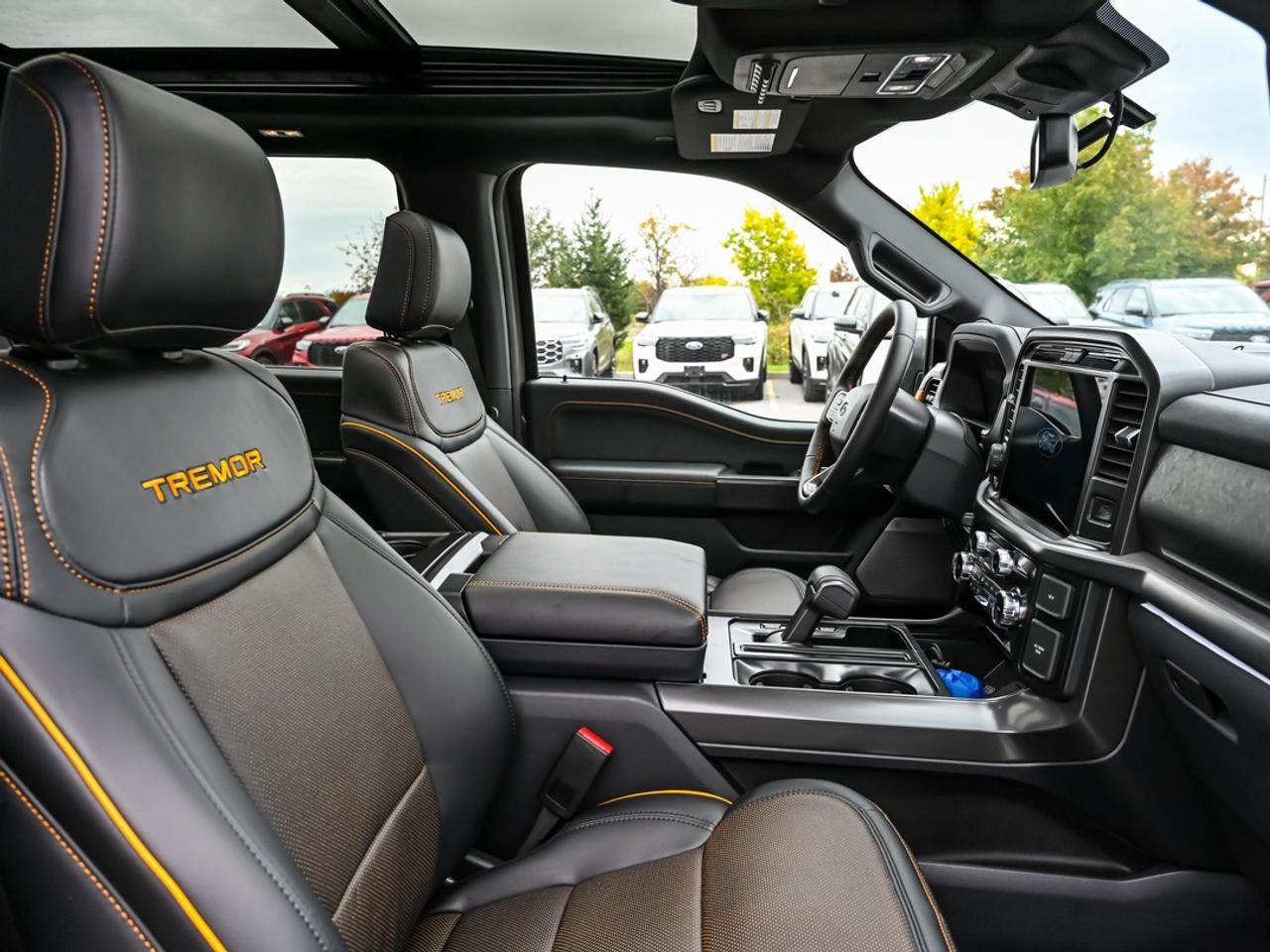 2026 Ford F-150 Tremor Photo