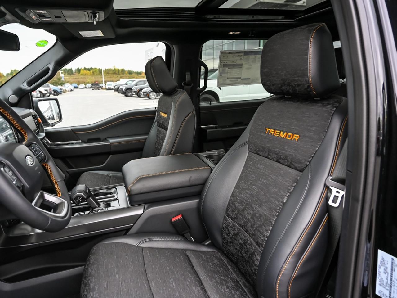 2026 Ford F-150 Tremor Photo