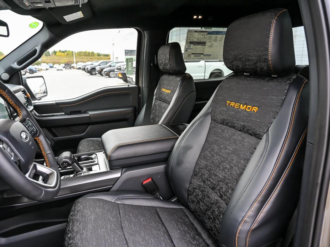 2026 Ford F-150 Tremor Photo