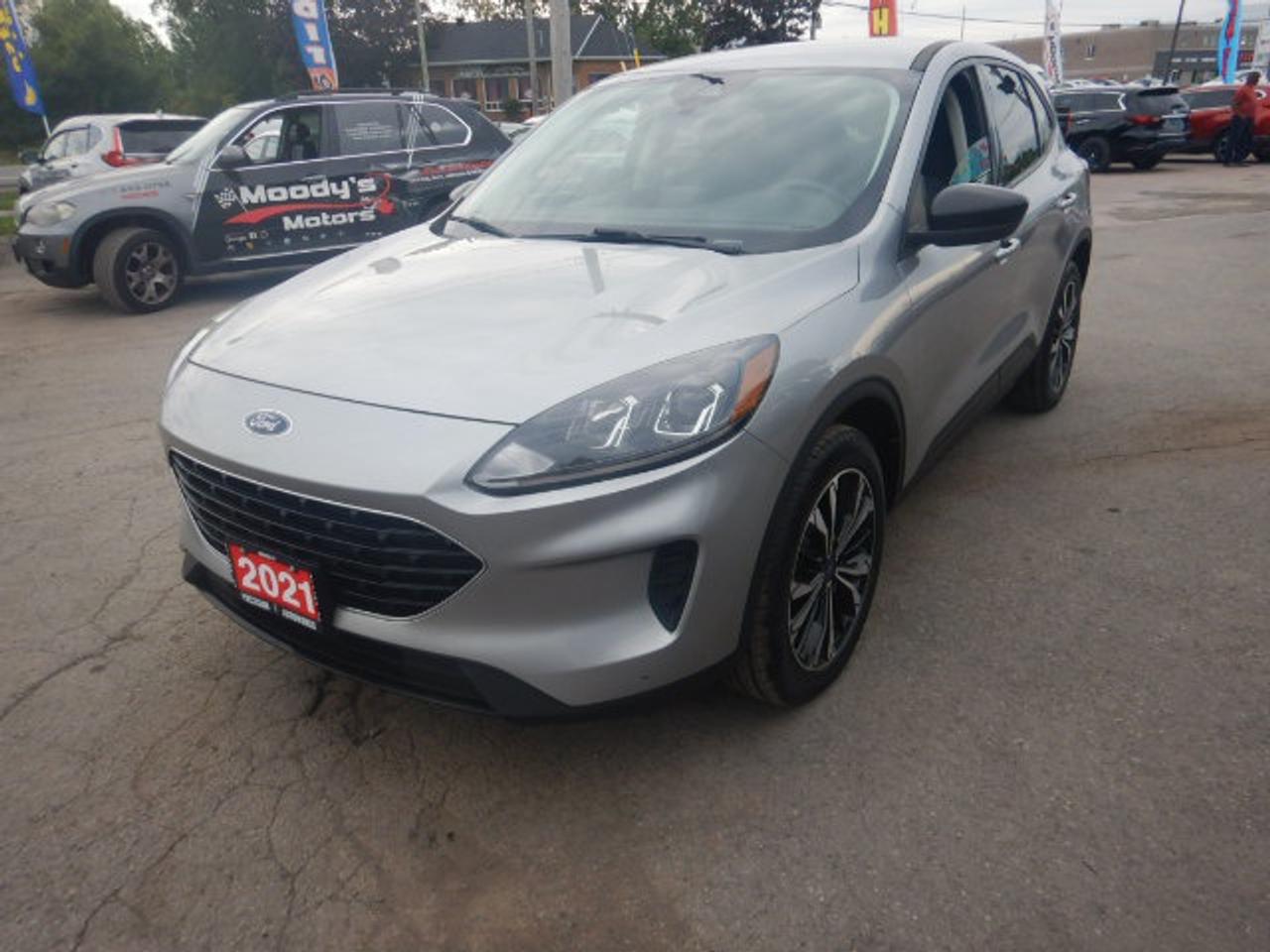 2021 Ford Escape SE Photo