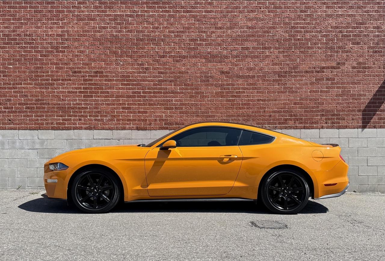 2019 Ford Mustang EcoBoost|Clean Carfax|Apple CarPlay Photo