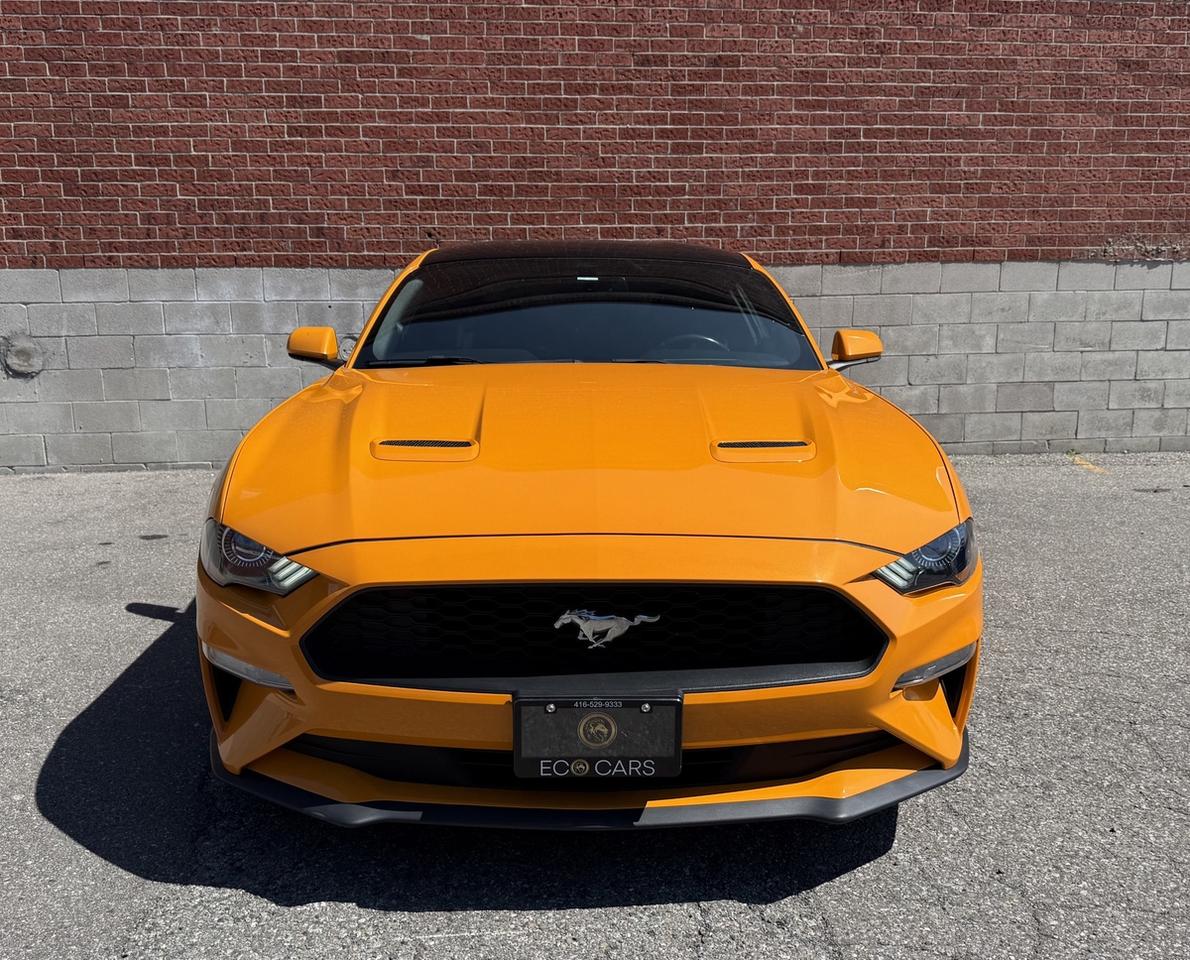 2019 Ford Mustang EcoBoost|Clean Carfax|Apple CarPlay Photo
