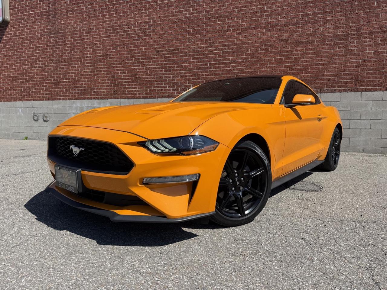 2019 Ford Mustang EcoBoost|Clean Carfax|Apple CarPlay Photo5