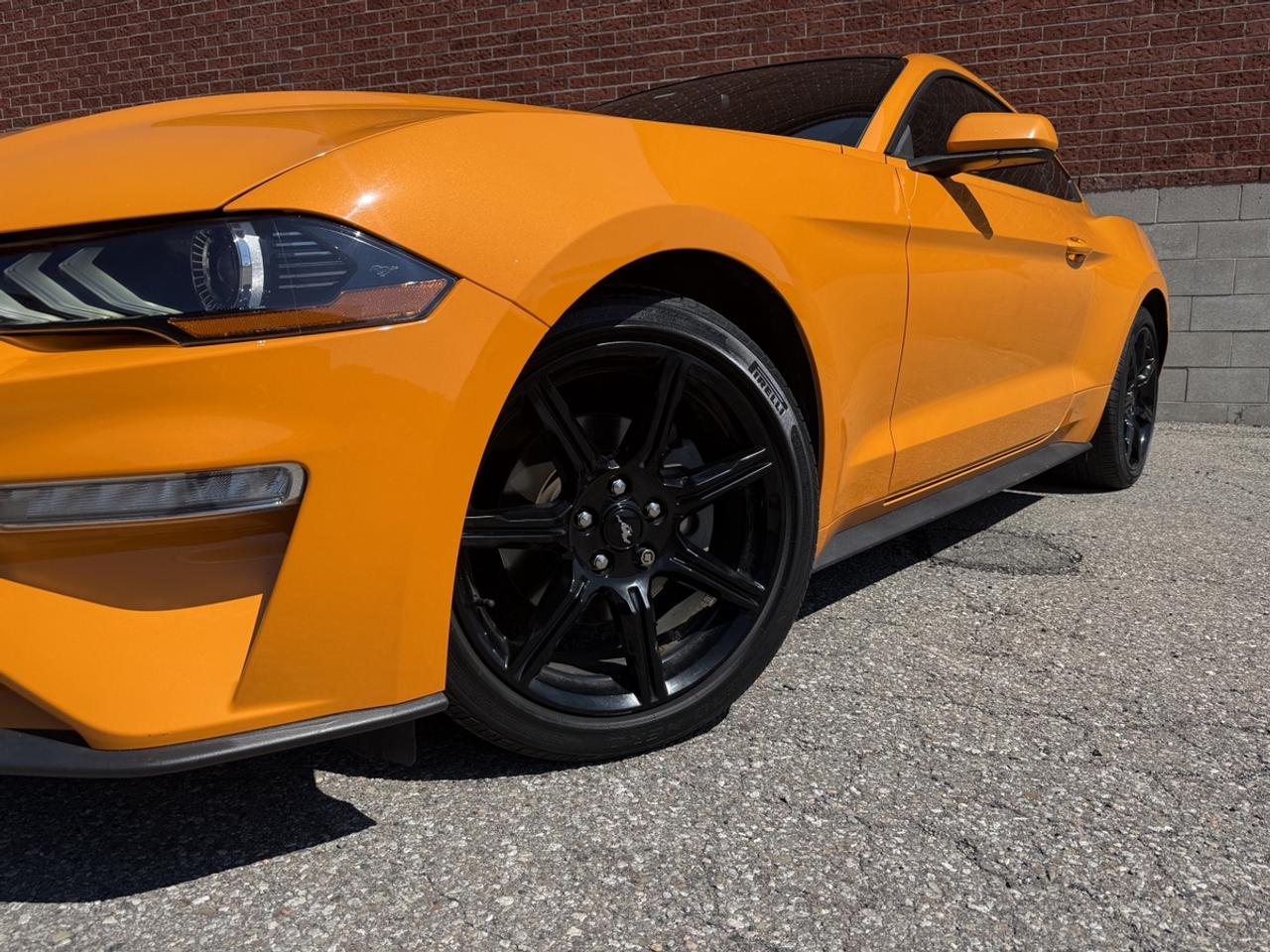 2019 Ford Mustang EcoBoost|Clean Carfax|Apple CarPlay Photo