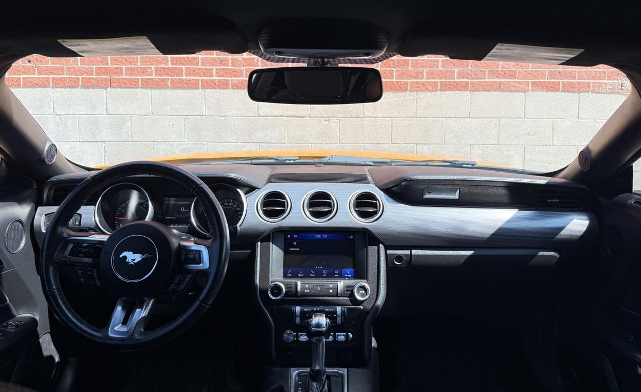 2019 Ford Mustang EcoBoost|Clean Carfax|Apple CarPlay Photo