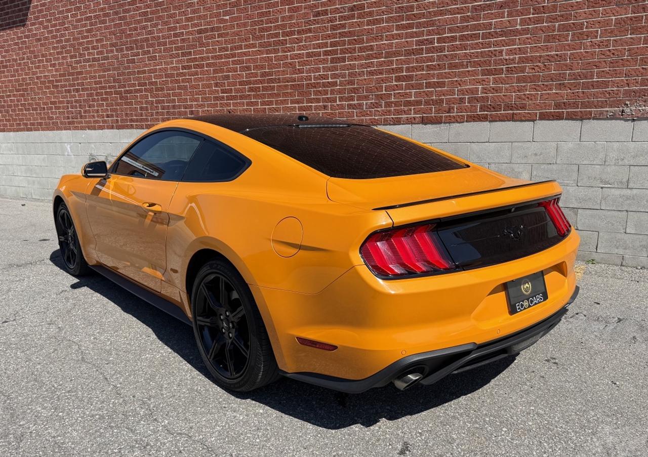 2019 Ford Mustang EcoBoost|Clean Carfax|Apple CarPlay Photo