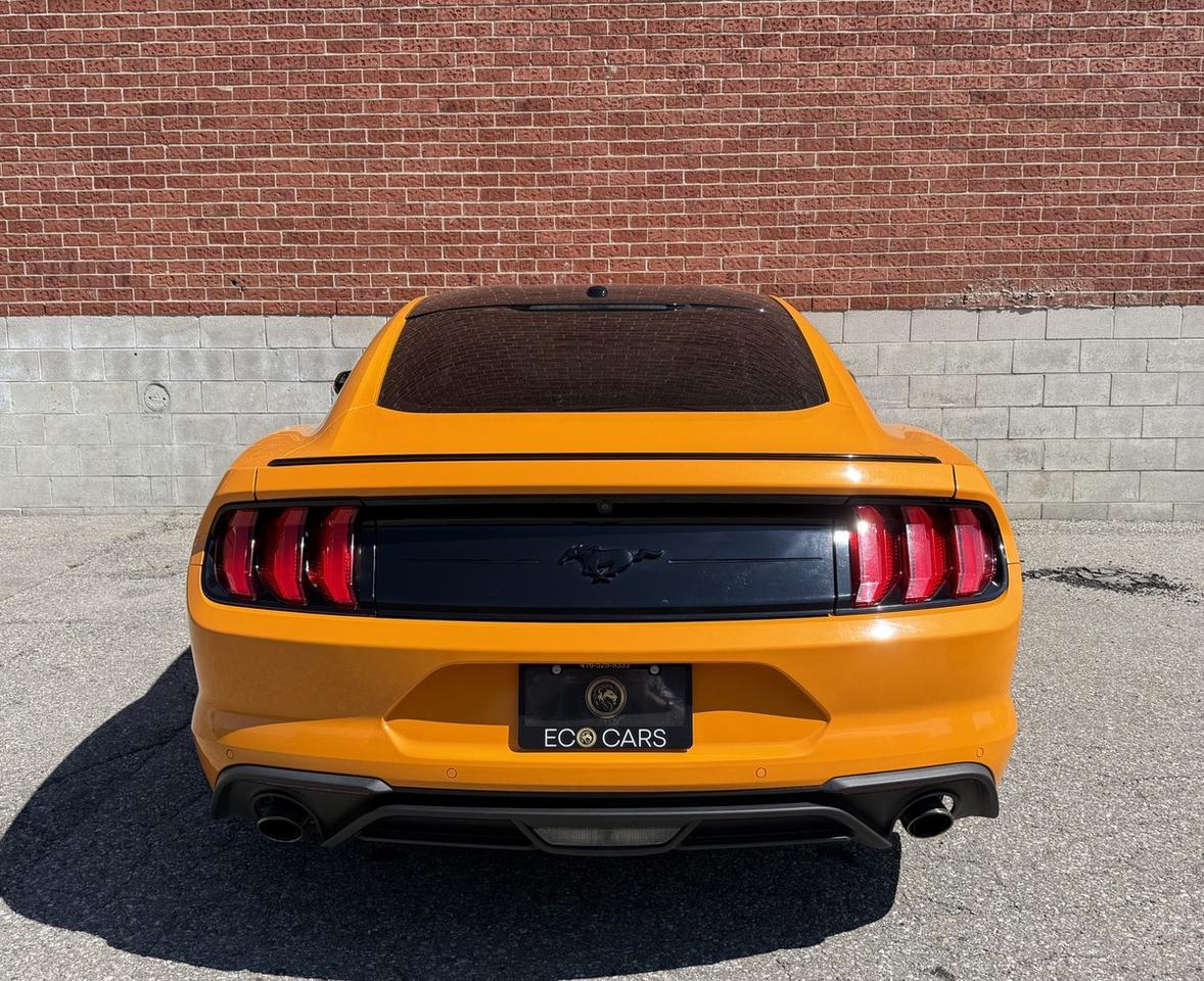 2019 Ford Mustang EcoBoost|Clean Carfax|Apple CarPlay Photo
