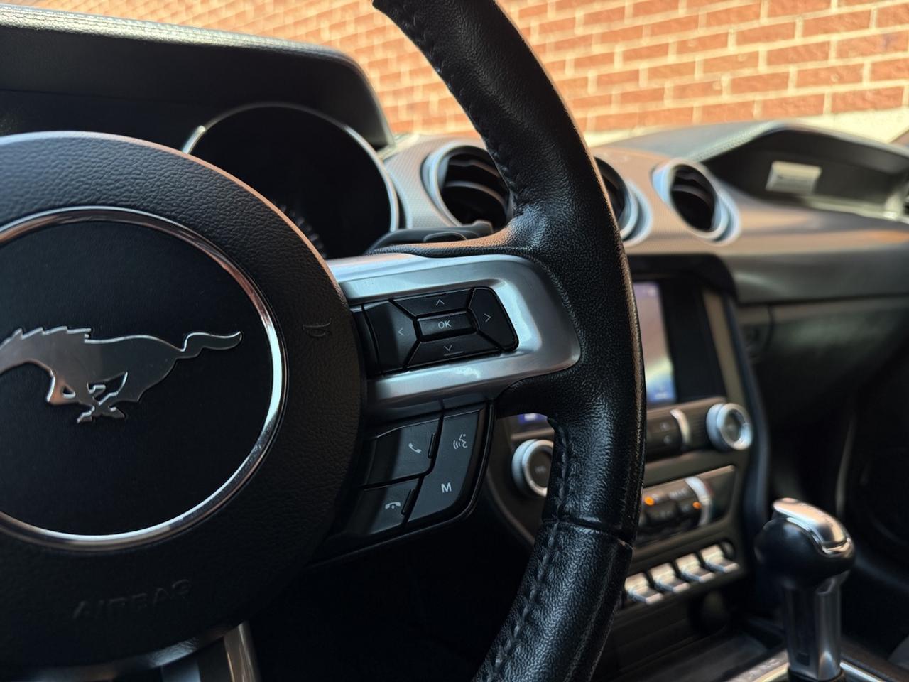 2019 Ford Mustang EcoBoost|Clean Carfax|Apple CarPlay Photo