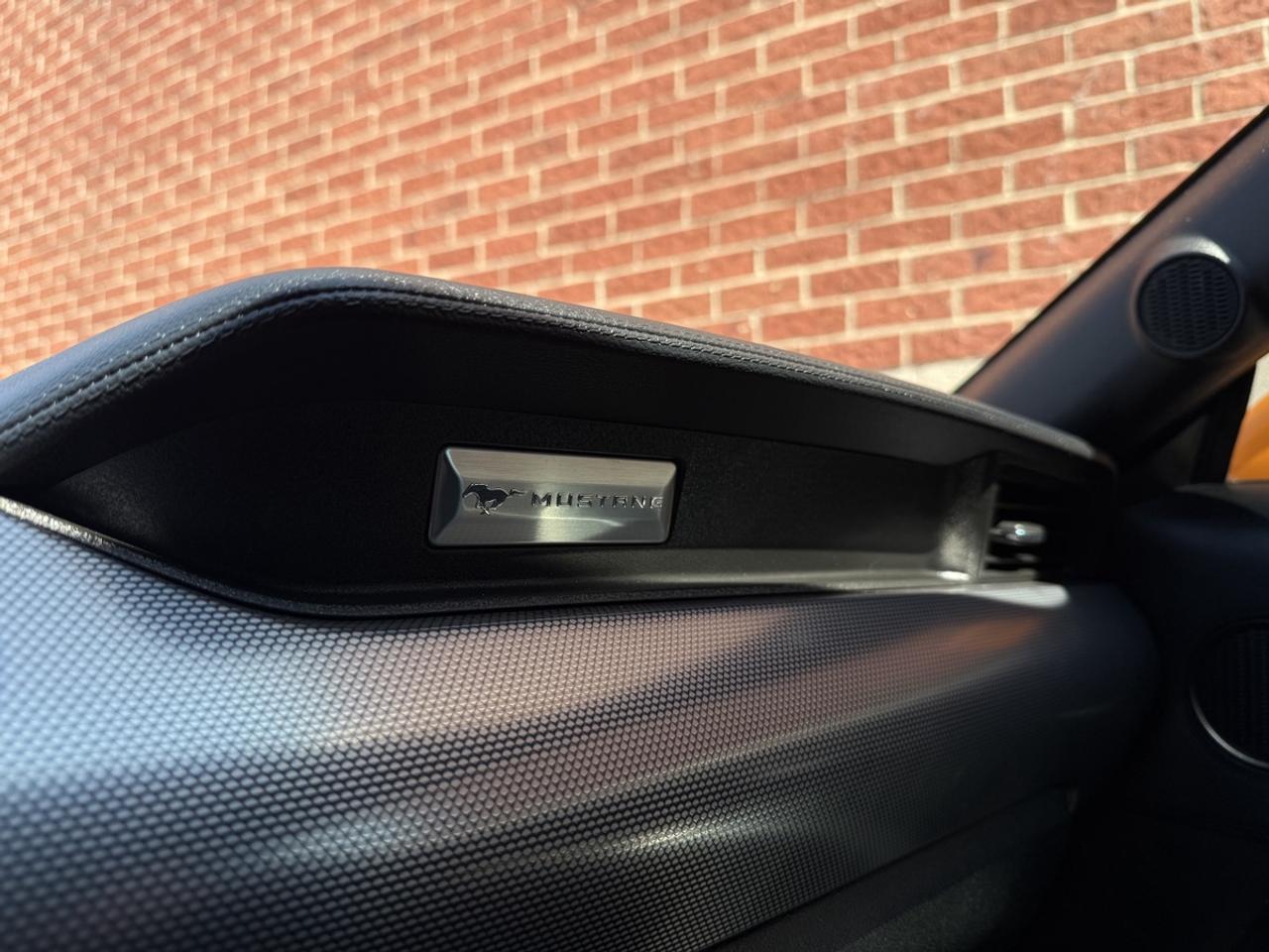 2019 Ford Mustang EcoBoost|Clean Carfax|Apple CarPlay Photo