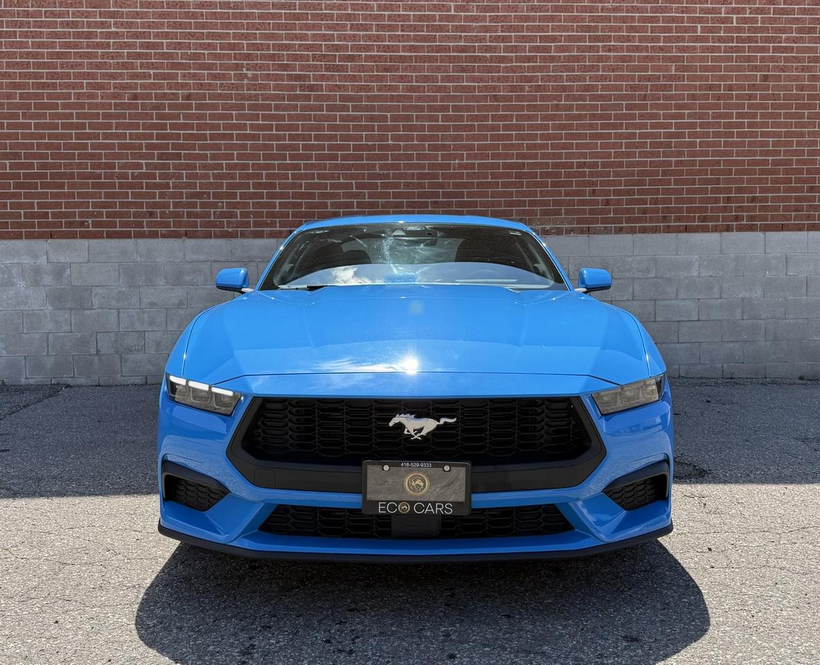 2025 Ford Mustang EcoBoost|One Owner|Super Low Kms Photo
