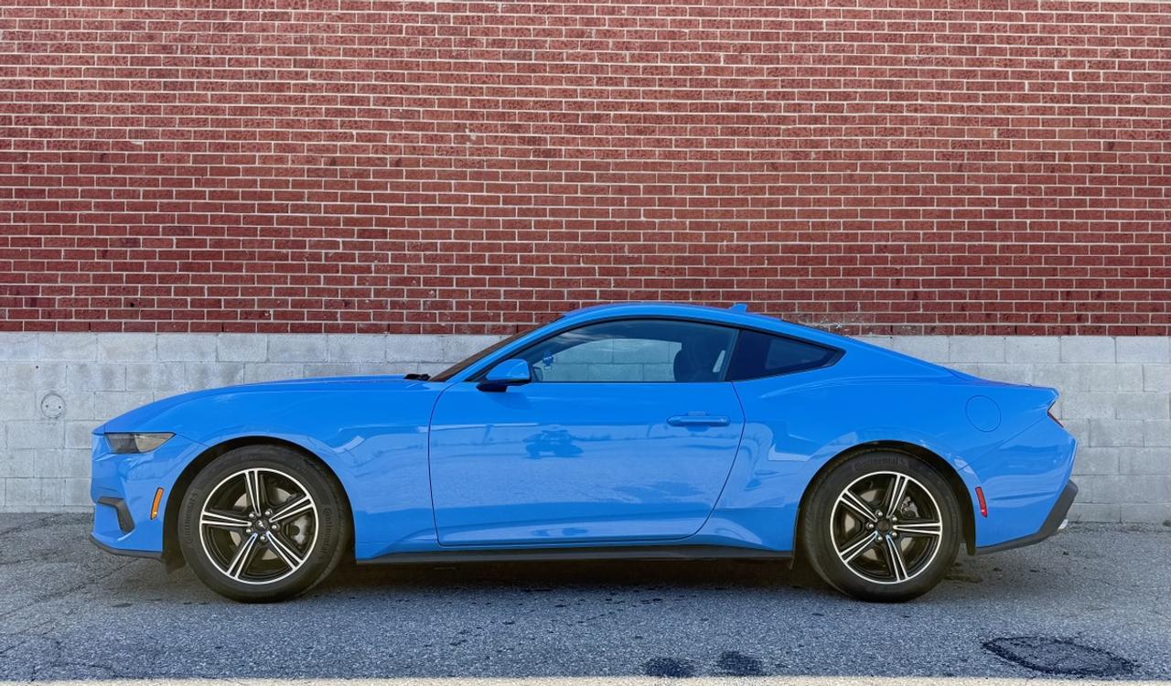 2025 Ford Mustang EcoBoost|One Owner|Super Low Kms Photo3